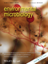 Mycorrhizal fungi