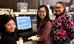 Three scientists in neural laboratory