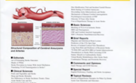 Structure of an aneurysm