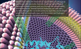 Illustration of synthetic biological membrane