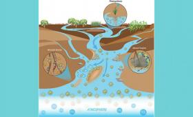 Artist's conception of carbon cycle