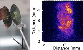 The Turbulent Dynamo (TDyno) target on left (two disks mounted on plastic); data graph on right