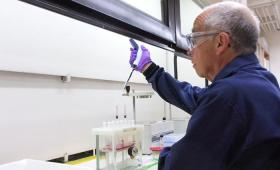 Man holding tube-shaped tool above rack of test tubes