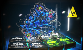 Certain natural compounds, like a recently discovered family of proteins called lanmodulins (depicted in blue), strongly and selectively interact with the radioactive elements americium and curium (highlighted in green), rendering them much more soluble in groundwater than previously thought. This finding could impact the way we evaluate the dispersion of nuclear waste in the environment. (Illustration: Jeremy Gardner/LLNL) 