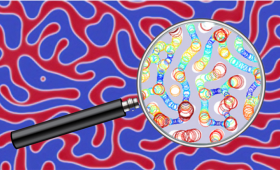 LLNL researchers combined phase-field simulations (background), topological feature extraction (inside the magnifying glass, showing a pore-size analysis), property calculations and machine learning analysis to uncover the microstructure-property relationship in polymeric porous materials.