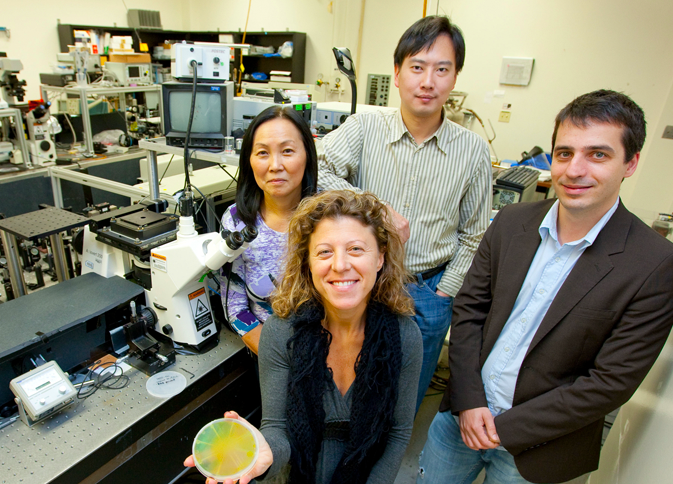 4 scientists working in a lab